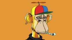 Understanding the crazy and amazing world of NFTs