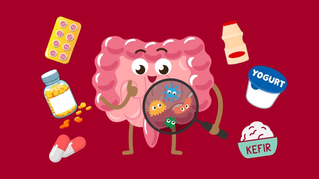 The category spans probiotics, prebiotics, synbiotics, and functional foods that promise benefits such as relief from acidity, bloating, constipation, and irritable bowel syndrome (IBS), while also supporting immunity, nutrient absorption, and holistic well-being through the gut-brain axis. The category spans probiotics, prebiotics, synbiotics, and functional foods that promise benefits such as relief from acidity, bloating, constipation, and irritable bowel syndrome (IBS), while also supporting immunity, nutrient absorption, and holistic well-being through the gut-brain axis.