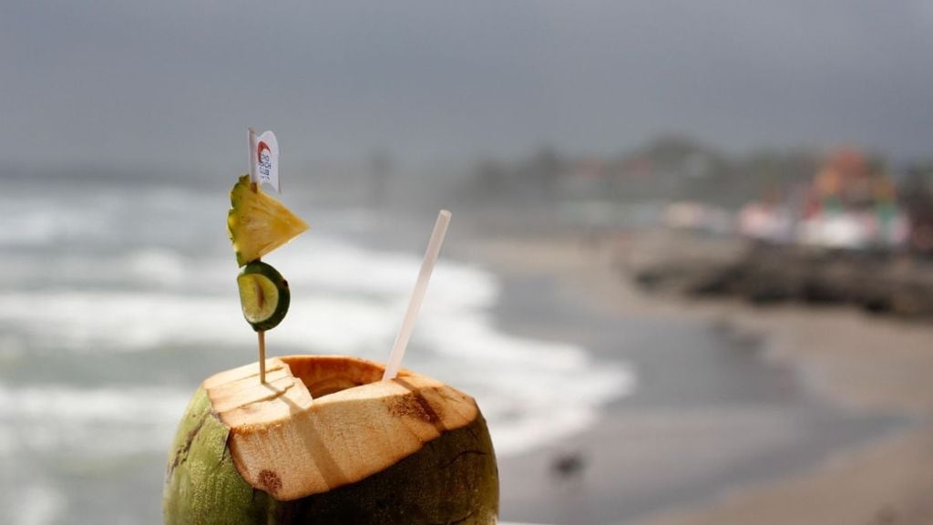 On World Coconut Day (September 2), let’s take a look at how coconut water can support recovery after dengue.