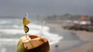 On World Coconut Day (September 2), let’s take a look at how coconut water can support recovery after dengue.