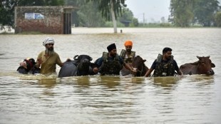 monsoon season, climate change, environmentalists, flood