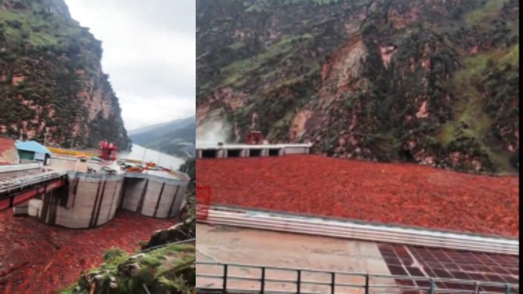 SC acts on viral timber log videos in Himachal, sparks political storm