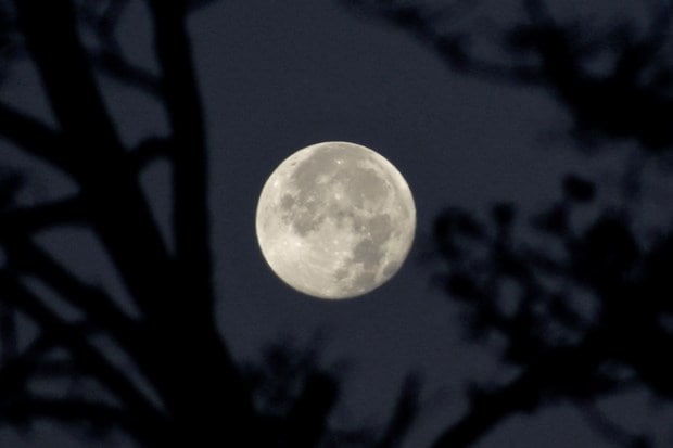 This was also the second and final lunar eclipse of 2025. Stargazers will now have to wait until March 3, 2026, for the next total lunar eclipse. (Image: NASA)
