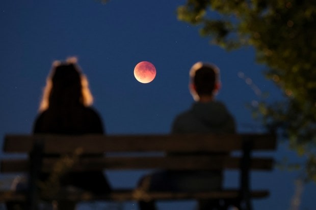 On September 7–8, people in India, Europe, Africa, and Australia saw a rare celestial spectacle in the sky - the total lunar eclipse, also called a Blood Moon. For more than three hours, the Moon slowly moved into Earth’s shadow and, during the peak of the eclipse, it turned a deep red for 82 minutes. In India, the event was visible from every part of the country, making it the longest and most special lunar eclipse seen here since 2022. Millions of people stepped outside to watch the glowing red Moon with their own eyes, with no special glasses or equipment needed. (Image: AP)