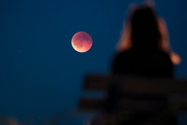 In India, the eclipse began in Tamil Nadu before becoming visible across the entire country. The total eclipse started around 11 pm and continued until 12:22 am, offering viewers a rare chance to see the Moon glowing red-orange without any special equipment. (Image: AP)