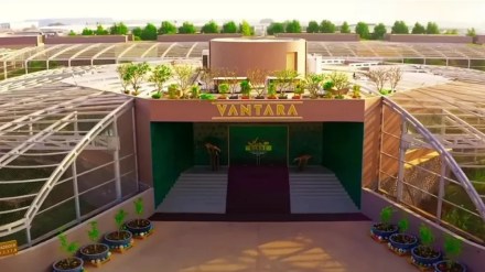 The SIT cleared Vantara of all major allegations, including claims that it was acquiring animals to profit from carbon credits.