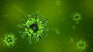 drug resistant bacteria