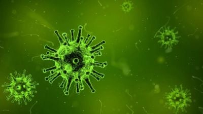 Deadly ‘nightmare bacteria’ cases witness a spike in the US: Signs and symptoms to know