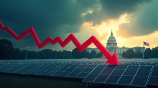 Waaree Energies shares fall after US Probes Alleged Tariff Evasion