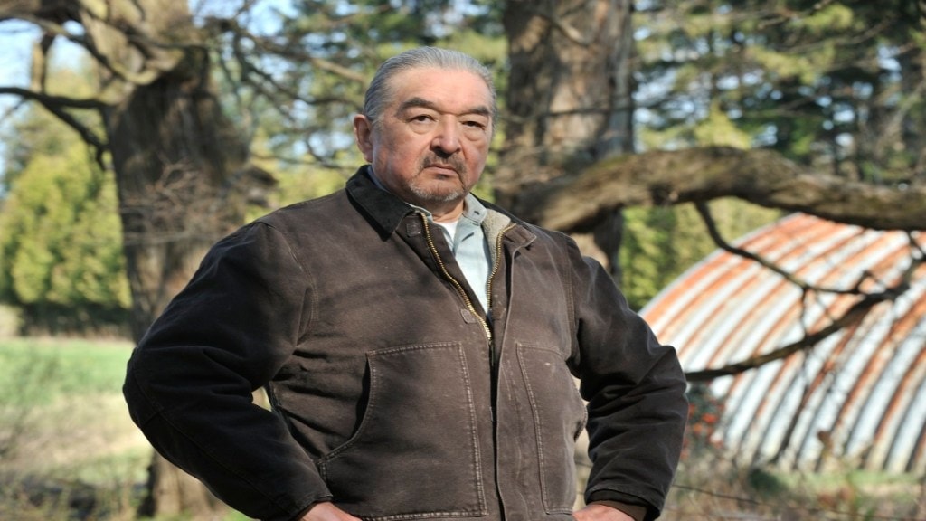 ‘Dances with Wolves’ star Graham Greene passes away at 73
