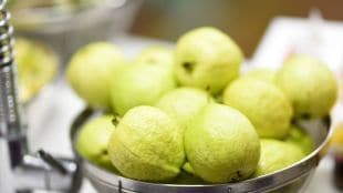 A latest study has discovered another lesser-known benefit of eating guava every day - protection from liver cancer.