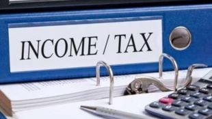 chartered accountant, ca, income tax, nri, nri income tax, india tax