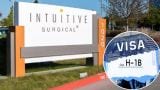 Silicon Valley H1b hiring