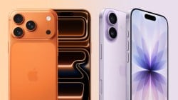 iPhone 17 vs iPhone 17 Pro: India price, camera, design, battery, chipset and more compared in detail