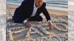 What is FAFO? Elon Musk’s dig at James Comey’s ‘8647’ Trump controversy explained as ex-FBI chief is indicted