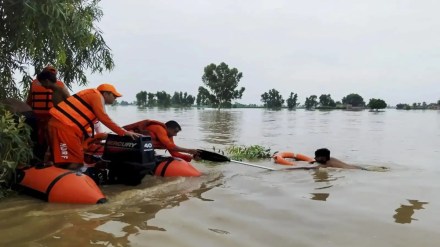 Pradhan Mantri Fasal Bima Yojana, PMFBY, economy, Punjab floods, agriculture