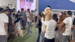 Zubeen Garg’s dogs bid goodbye before last rites, Assam CM Himanta shares video