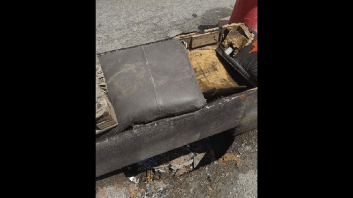 Bengaluru pothole covered with an old couch near KR Road goes viral after Reddit post sparks civic outrage Bengaluru pothole covered with an old couch near KR Road goes viral after Reddit post sparks civic outrage