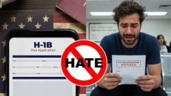 H-1B visa holder asks, ‘Why this H-1B hate?,’ Netizens respond, ‘Nobody likes scammers’