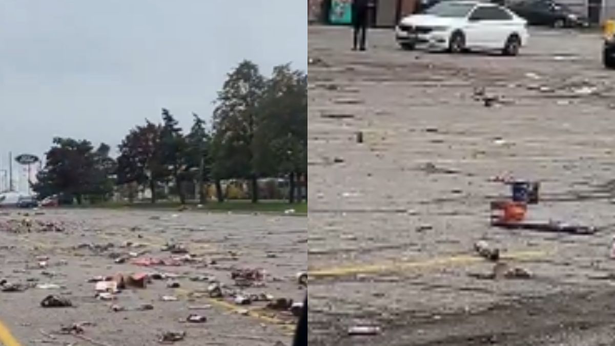 ‘How difficult is it to follow rules?,’ Netizens slam Indians abroad for littering streets during Diwali celebrations