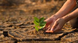 A potential turning point for climate action