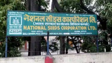 National Seed Corp eyes 33% rise in turnover to Rs 1,600-cr in FY26