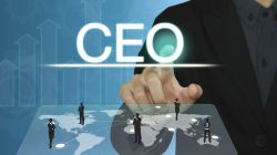 Consumer sector sees surge in CEO transitions