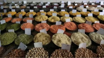 Prospects of a higher pulses production in forthcoming rabi or winter season due to adequate soil moisture because of excessive rainfall this season is likely to boost chana, masor (lentil) and moong production.