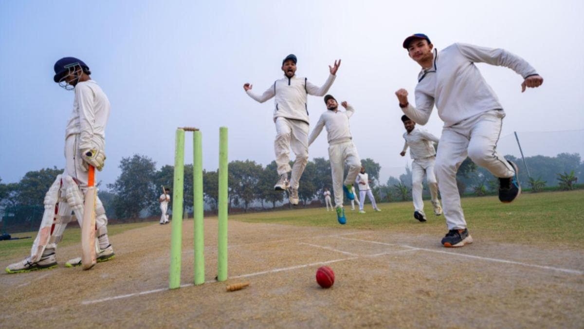 What is ‘Test Twenty’ cricket? Harbhajan, de Villiers, Hayden back newly-introduced format for young players