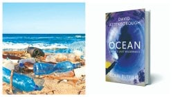 Book Review: The deep blue friend