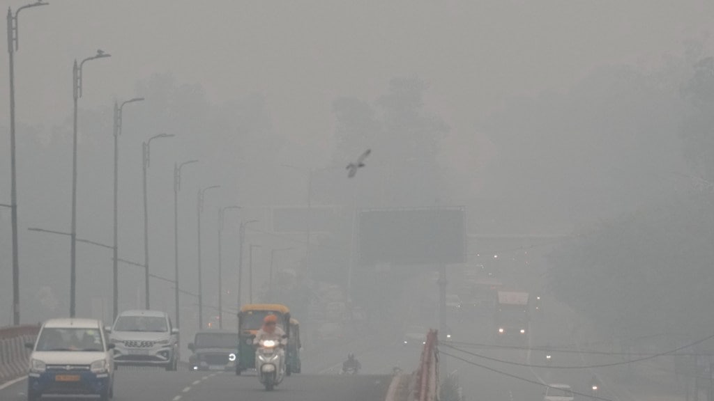 Delhi Air Quality today: Grey haze lingers over city as some areas report AQI over 500 (Image: PTI)