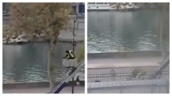Watch: Louvre thieves flee on scooter via mechanical ladder in daylight heist worth $102M