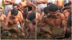 Inside India’s wildest Diwali celebration: Villagers in Karnataka throw cow dung to mark end of festivities | WATCH