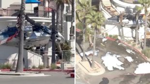 Helicopter wreck wedged between palm trees after Huntington Beach crash