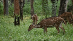 Into the Wild: Adventure Tourism in Karnataka