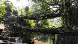Chasing Clouds and Courage: The Top 10 Adventures to Experience in Meghalaya