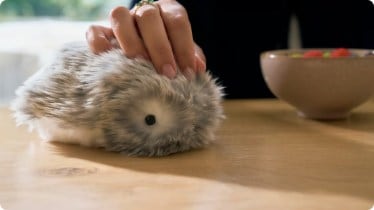 moflin ai pet robot