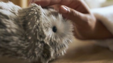moflin ai pet robot