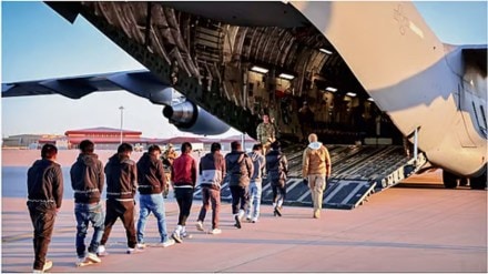 US deports dozens of Indians, including 50 from Haryana, over illegal entry