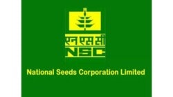Turnover of National Seed Corpn may rise by a third to Rs 1,600-crore