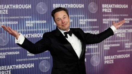 'Someone whose biggest claim to fame is climbing trees…': Elon Musk escalates feud with NASA chief Duffy