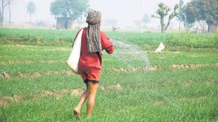 hike in retail urea price