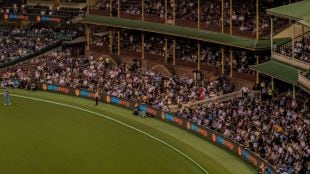 sports insights