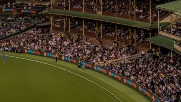 sports insights