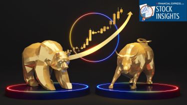 indian stock market