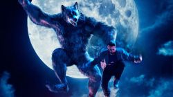 Thamma Box Office Collection Day 2: Ayushmann-Rashmika’s horror-comedy nears Rs 50 crore mark