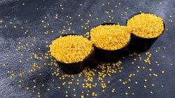 Mandi prices of pulses, oilseeds trade below MSP