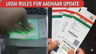 Aadhaar update fact-check: No, you still can't change name, DoB or mobile number online - UIDAI website shows