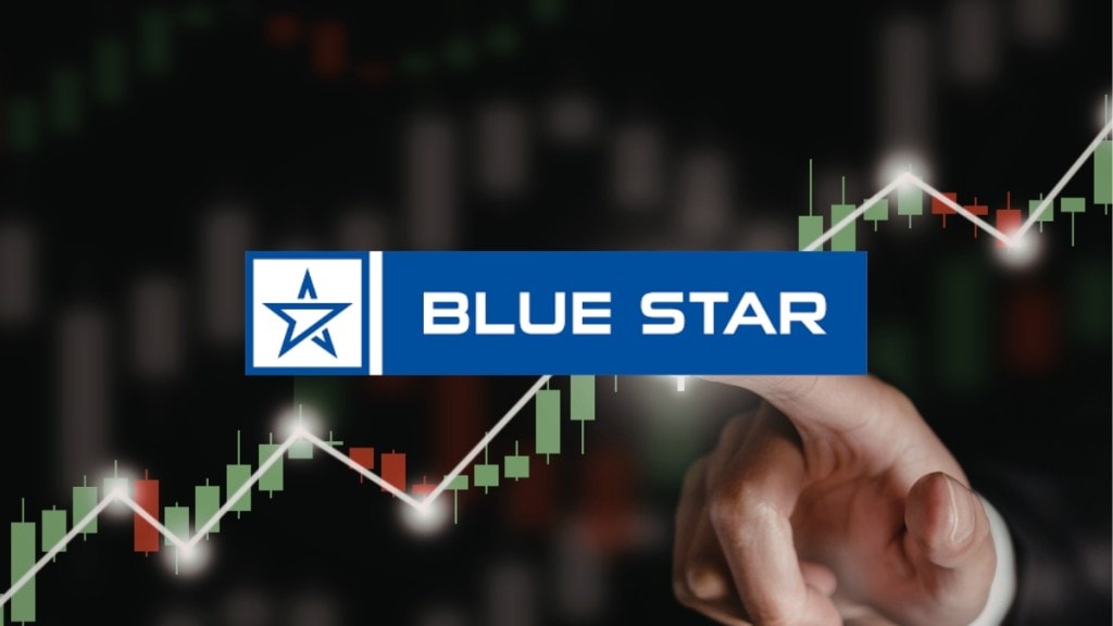 Blue Star share price, November 26
