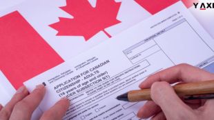 Canada’s 2026–28 immigration plan takes effect